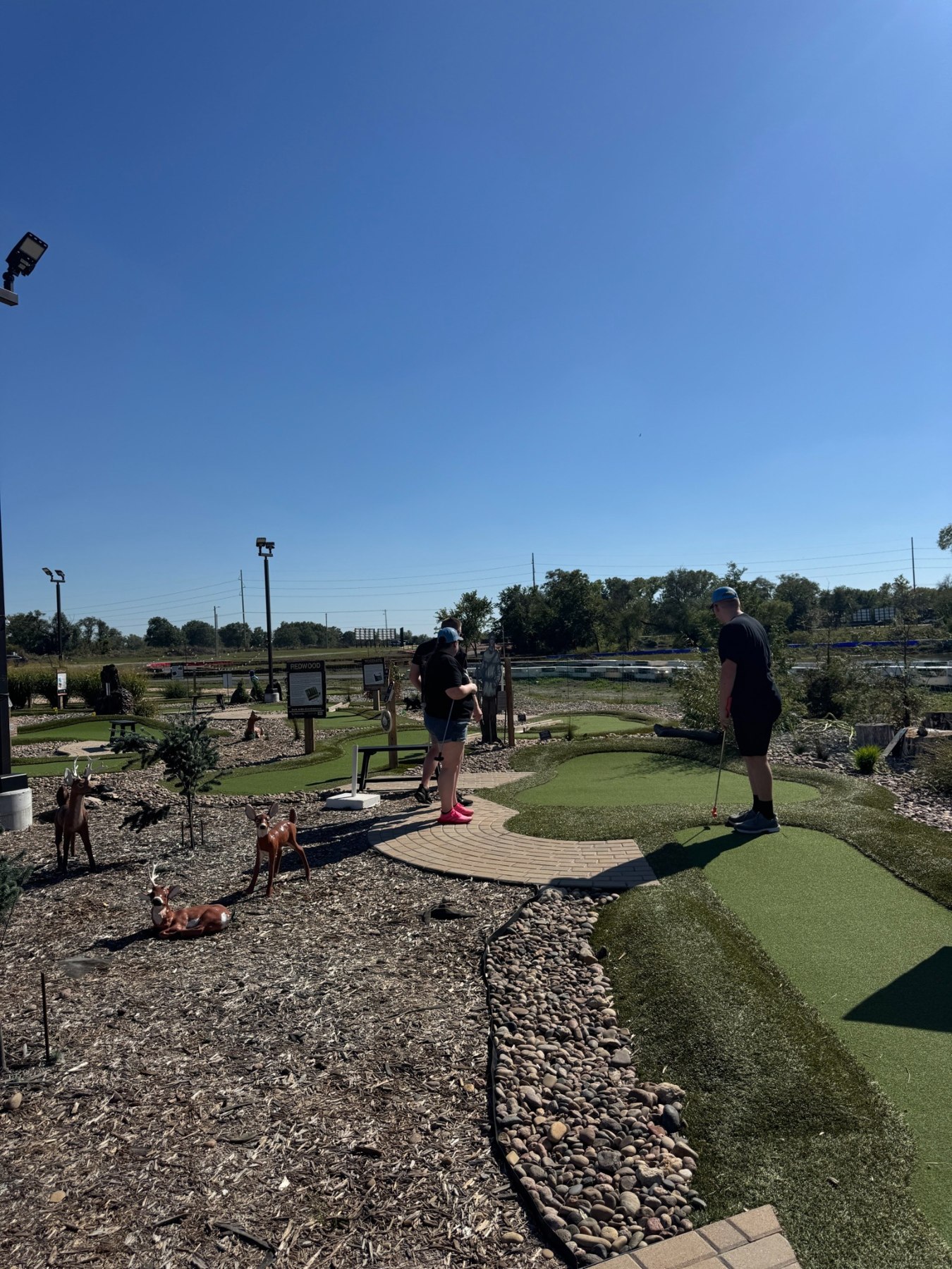 Across the greens