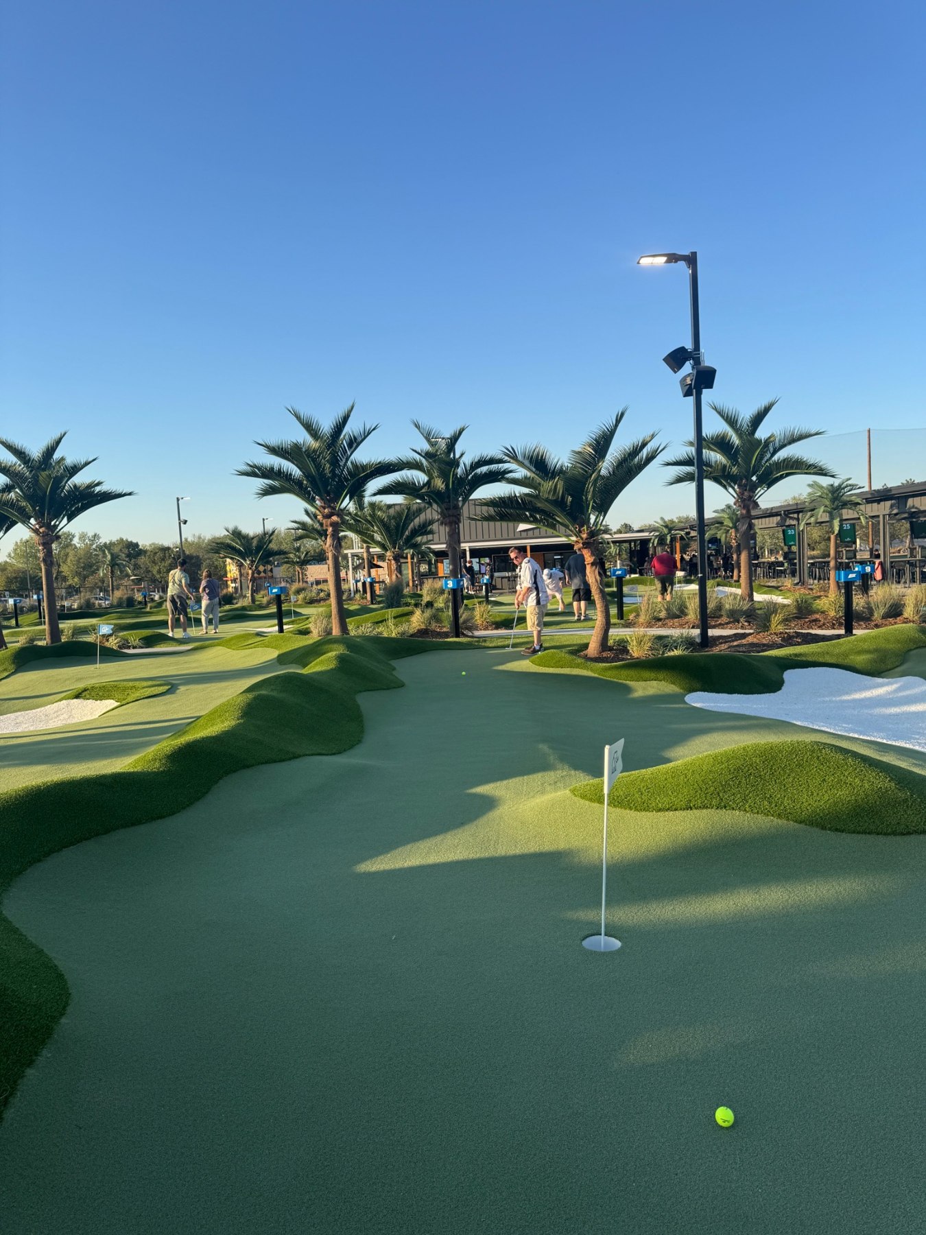 The course in sunshine